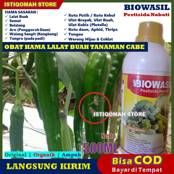BAYAR DI RUMAH BIOWASIL 500ml Pupuk Cair Obat Semprot Lalat Buah Pada Cabe - Obat Pembunuh Lalat Bua