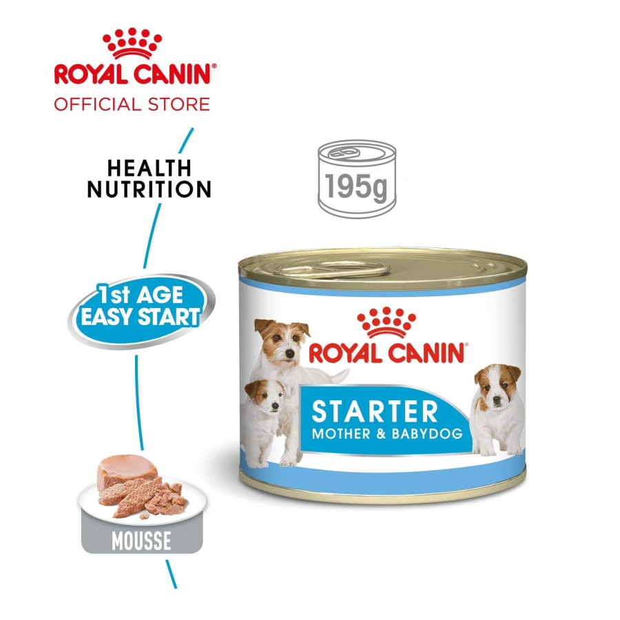 Royal Canin Starter Mousse Mother Puppy 195 gr - Makanan Induk Anjing Menyusui Melahirkan dan Bayi Anjing