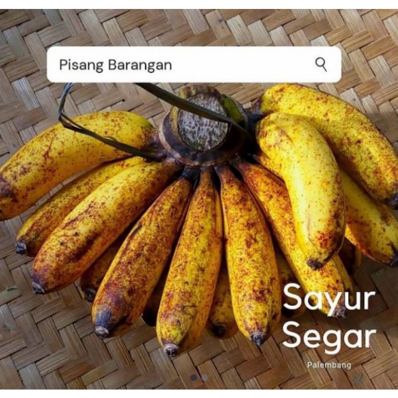 

Pisang Barangan Per Sisir Sayur Segar Palembang