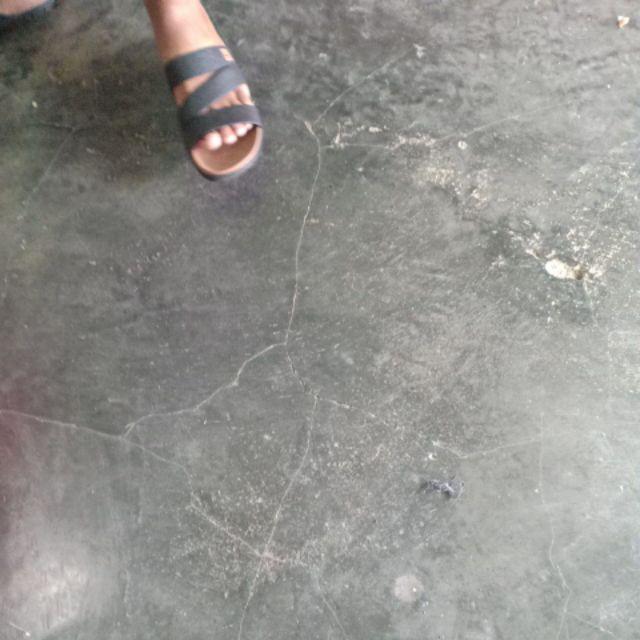 Mosaic Sweet Saver (1 Picis)