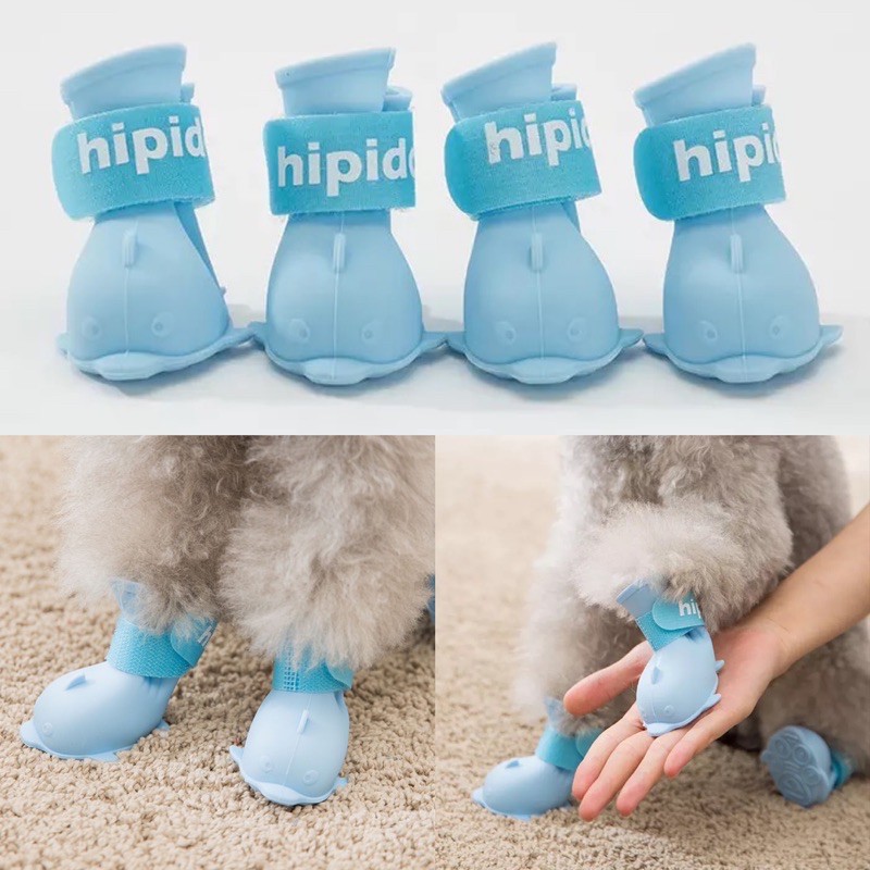 hipi no wet shoes for dog