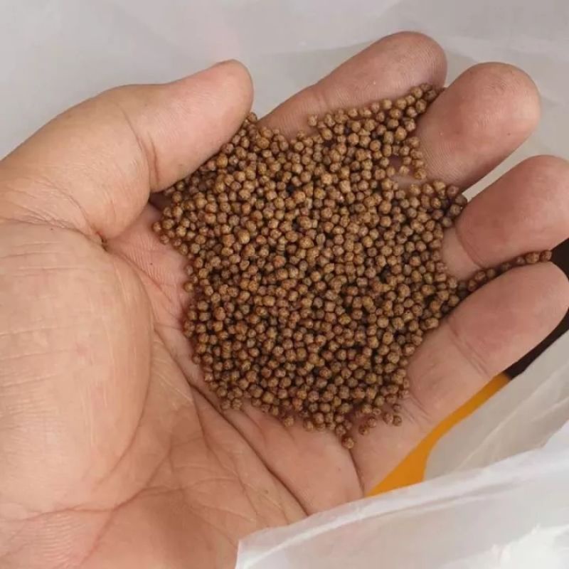 PELET PAKAN IKAN HIAS AGARU SINKING TIPE TENGGELAM 100 GR KUALITAS
