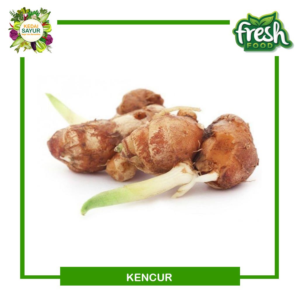 

Bumbu Dapur Kencur 100 Gram - Gerai Sayur Segar Depok