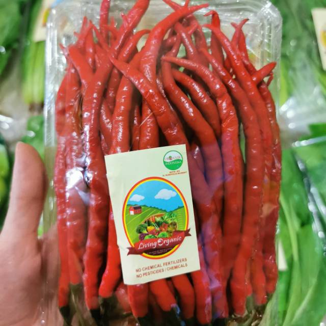 

Cabe Merah Keriting ORGANIK || 200Gram || Curly Red Chilli Sayuran Organik