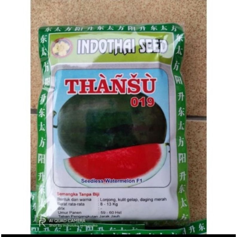 Benih Semangka Thansu 20 gram original Oval