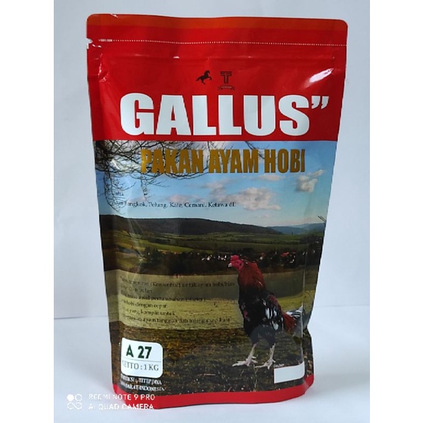 GALLUS PAKAN AYAM BANGKOK/ADU_1KG