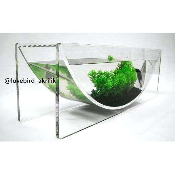 Aquarium Akrilik Unik Soliter Ikan Cupang Aquarium Ikan Cupang Aquascape Ikan Cupang Akrilik Shopee Indonesia