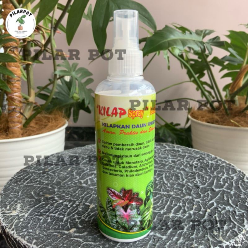 kilap leafshine spray 250 ml pengkilat daun siap pakai - KILAP BESAR