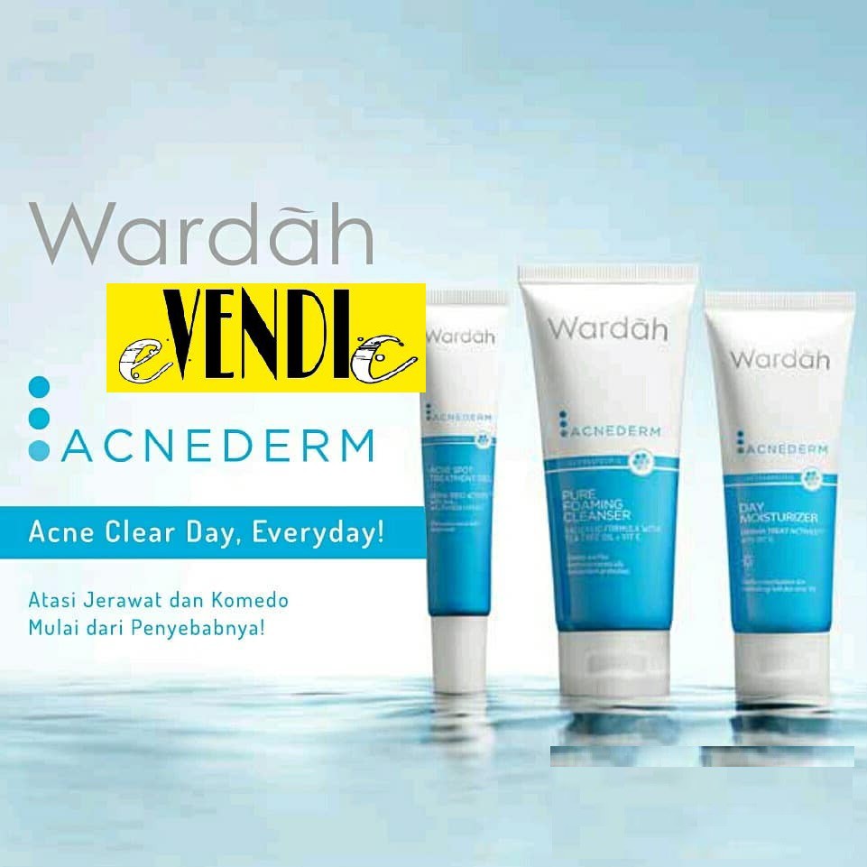 Sabun Wajah Wardah Acnederm Pure Foaming Cleanser