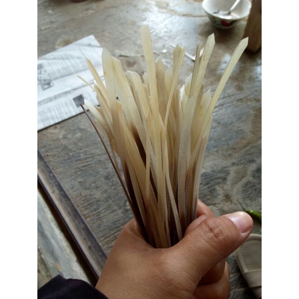 tali simpai bedog tanduk bule,isi 10 pcs.