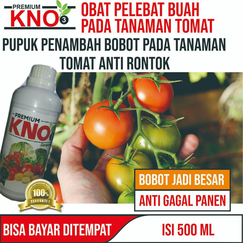 TERLARIS pupuk buah super lebat tomat - Pupuk tomat dan cabe Premium Kno3 pupuk untuk tanaman tomat 