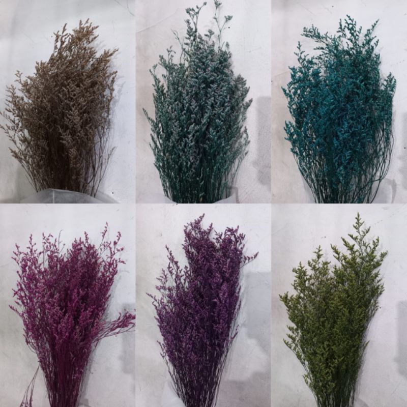 Dried Flower Rustic Caspia Bunga Kering Lovergrass | Props Foto wedding | Caspea