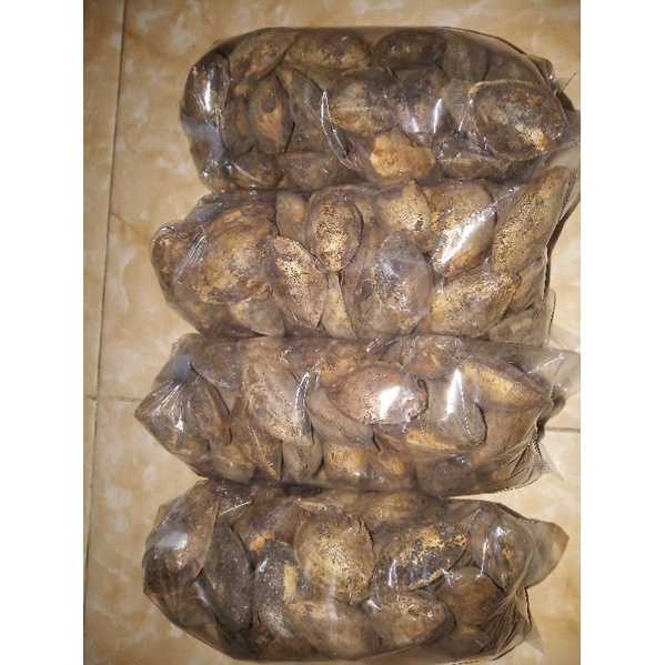BUAH KETAPANG KERING