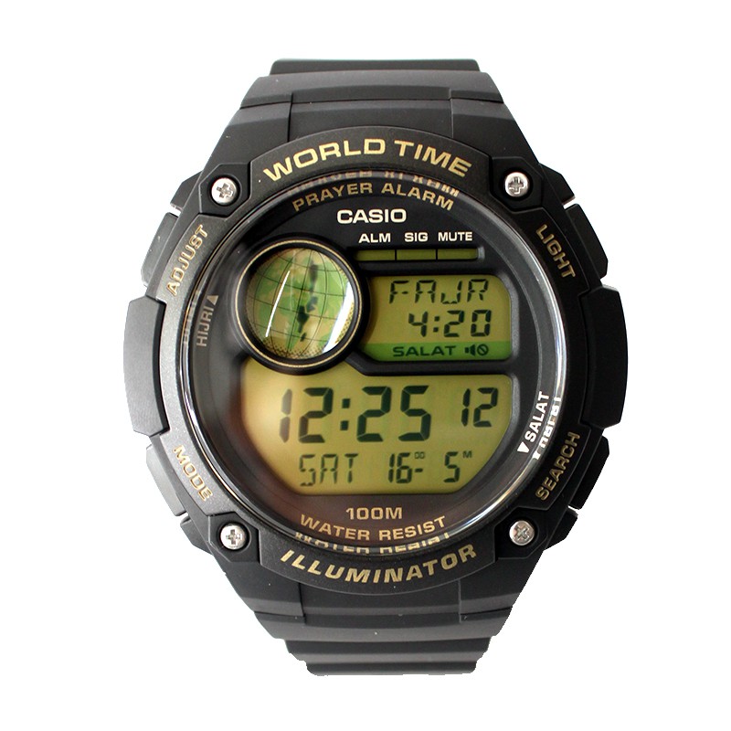 casio cpa100