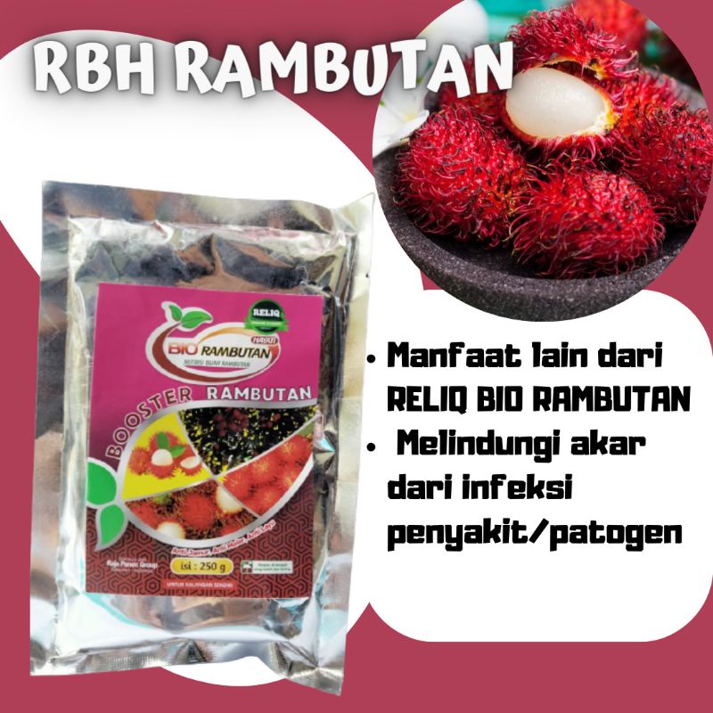 Pupuk Pohon Rambutan Terbaik, Pupuk Rambutan Agar Berbuah Lebat, RBH RAMBUTAN