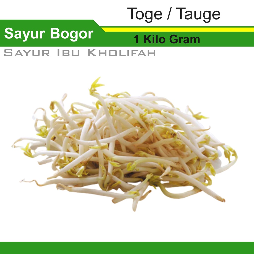 

Toge Tauge Touge 1Kg Warung Sayur Sayuran Online Segar Bogor