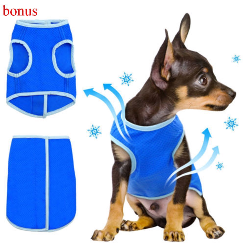 Kaos T Shirt Rompi Anjing Warna Biru Shopee Indonesia