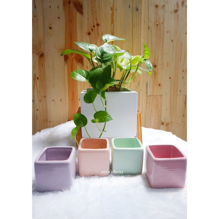 Pot Bunga / Pot Keramik / Pot Kaktus / Kotak Pastel Doff