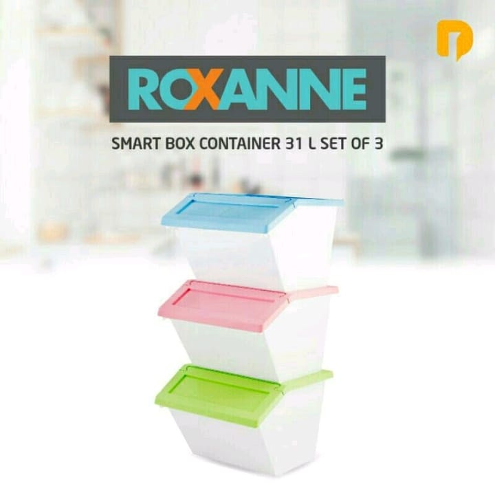 ROXANNE SMART BOX CONTAINER SET OF 3