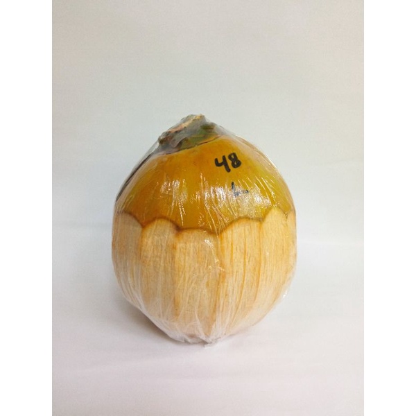 

KELAPA KOPYOR ASLI 100% (47-48) // BUAH KELAPA KOPYOR KHAS PATI UTARA / Kopyor Coconut