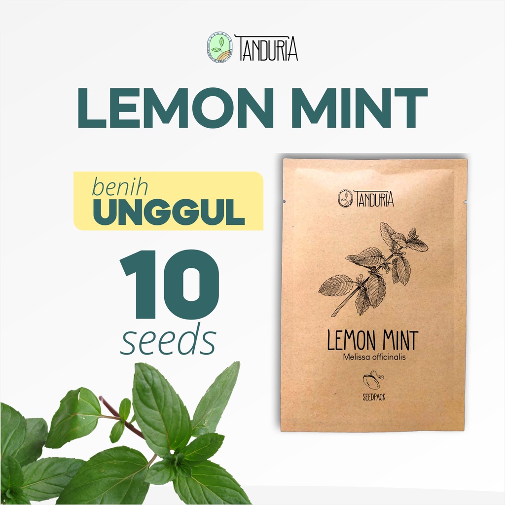 LEMON MINT