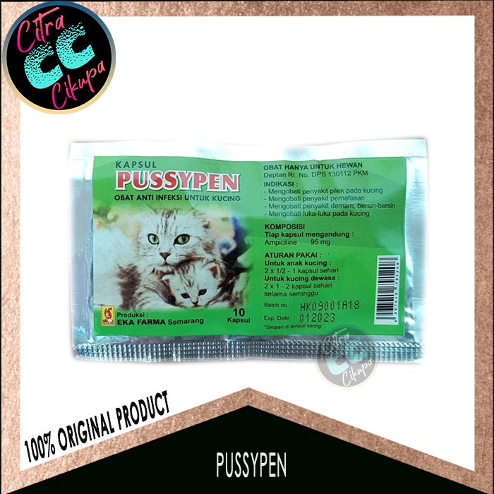 Obat anti infeksi untuk kucing PUSSYPEN