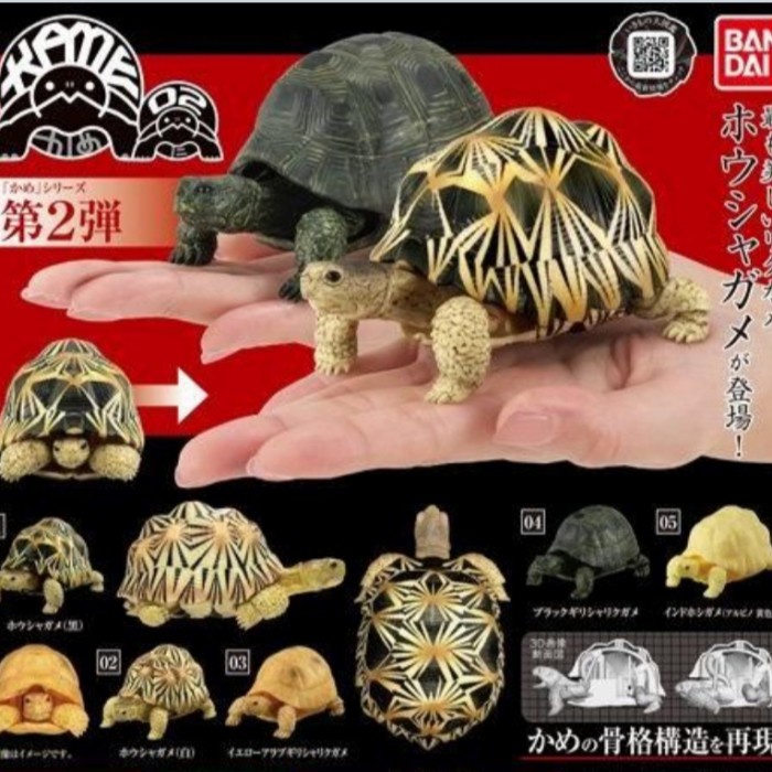 Hot Sale Black Greek Tortoise Gashapon Figure Dango Mushi Turtle Terlaris