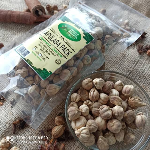 

Kapulaga Kering - 50 GR / REMPAH / JSR / 100% MURNI