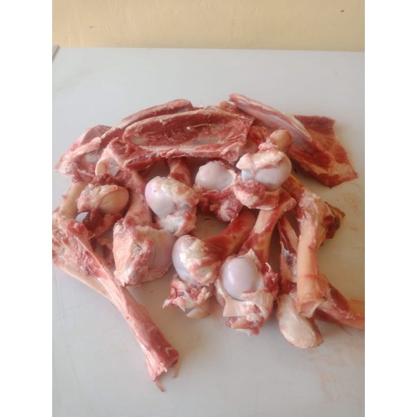 

TULANG KALDU KAMBING