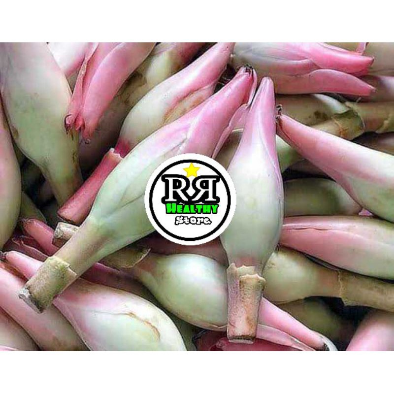

bunga kecombrang/bunga honje 1 kg segar
