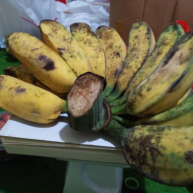 

Pisang Kepok