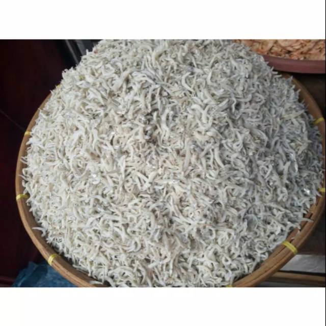 

Teri Medan