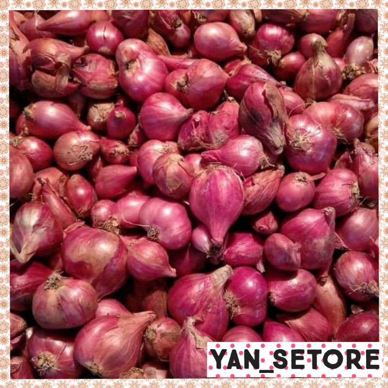 

BAWANG MERAH/BREBES/termurah