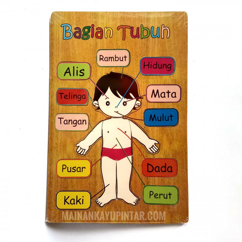 Mainan Kayu Pintar Buy 1 Get 1 Puzzle Kayu Bagian Tubuh Wanita (Free Puzzle Kayu Bagian Tubuh Pria)