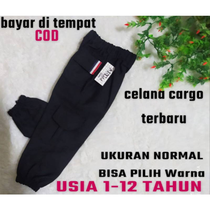 CELANA PANJANG CARGO ANAK LAKI-LAKI 1-12 TAHUN KARGO ANAK BAWAHAN FASHION ANAK COWO