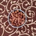 

raw hazelnut kacang hazelnut mentah 100gr