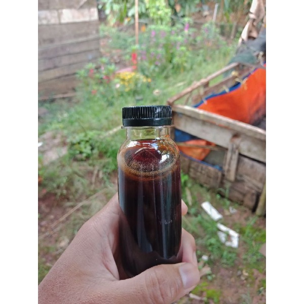 

madu murni 110ml (melifera)