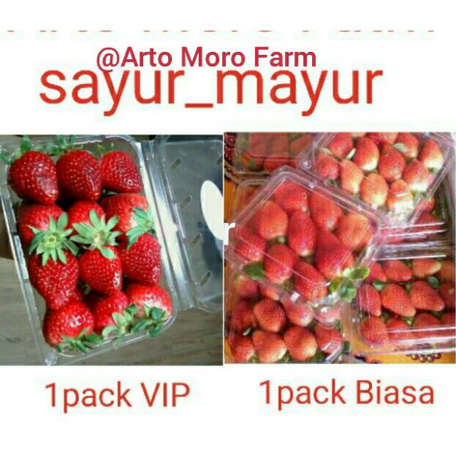 

buah strobery (per pack dan perKg)