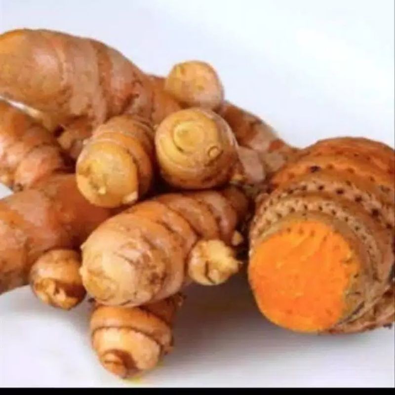 

TEMULAWAK SEGAR 100 GR