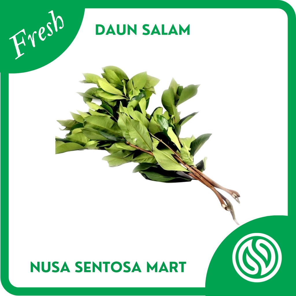 

Bumbu Daun Salam Segar – 100g