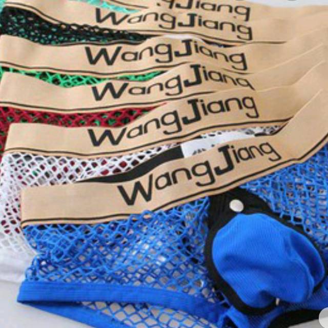 Celana dalam pria brief seksi pakaian dalam jaring transparan