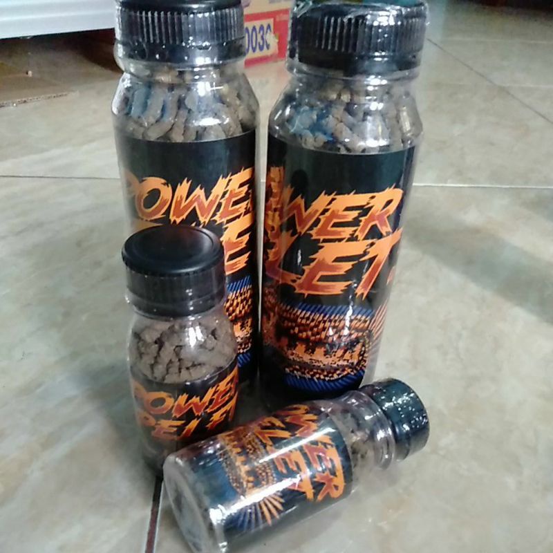 Power Pelet Auranti Maculata Channa Jogja