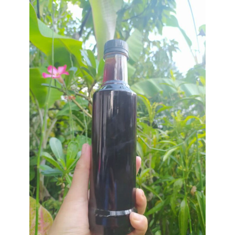 

Madu Asli Apis melifera Hutan Akasia Riau