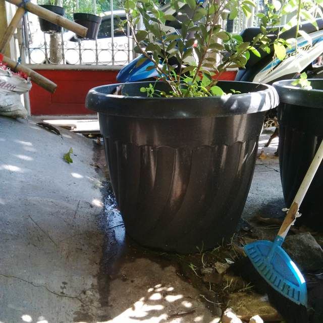  Pot  Bunga  60cm Pot  Tanaman Plastik  ukuran diameter 60 cm 