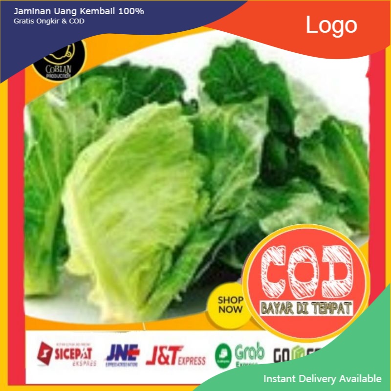 

Sayur Ceriwis Kiciwis 250g Sayuran Segar Sayuran Fresh Sayuran Organik Sayuran Online Terlaris