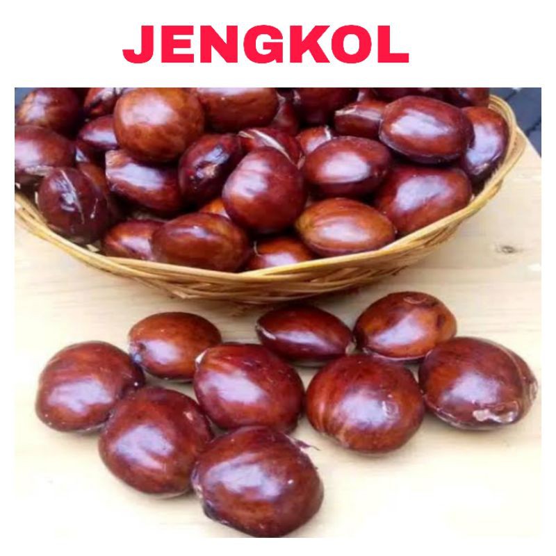 500 gr Jengkol tua mentah / mirip petai / kabau / dijamin segar dan tua