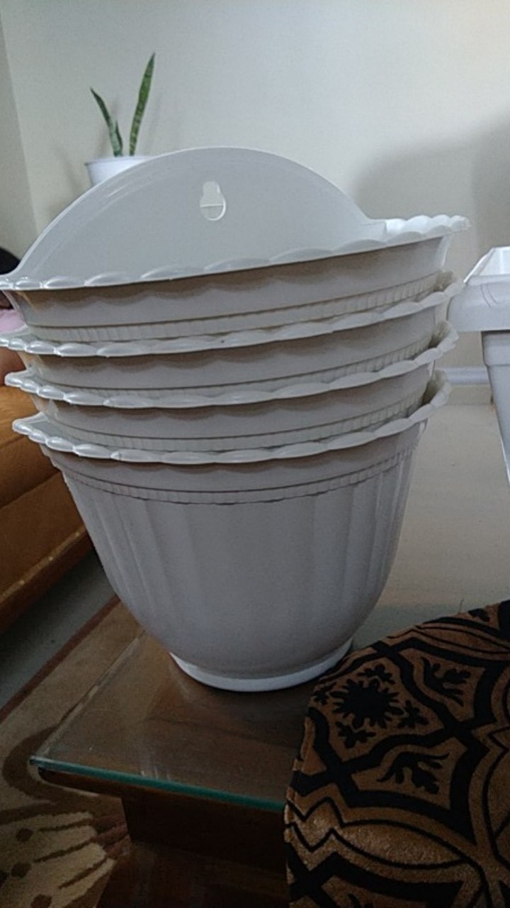 Pot Tembok Isabella Merek Shallom 28 Cm