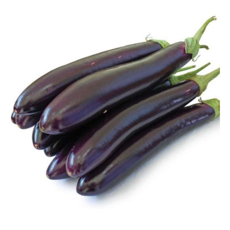 

Terong Ungu - Per 250gr