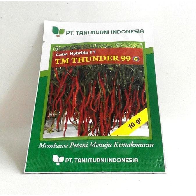 

PERKEBUNAN/ ASLI BENIH CABAI KRITING BENIH CABE TM THUNDER 99 CABE