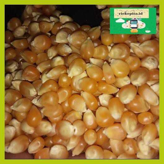 

5Yer67R- Jagung Popcorn Mentah Murah T7Rty67-